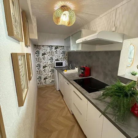 Lägenhet Duplex Avec Parking Prive *